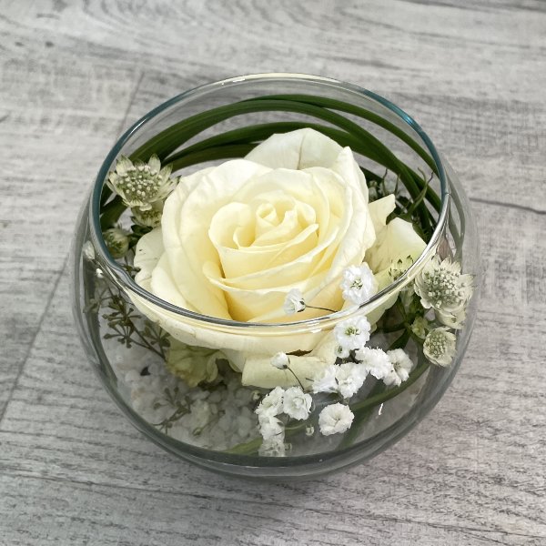Weiße Rose im Glas Bild 1